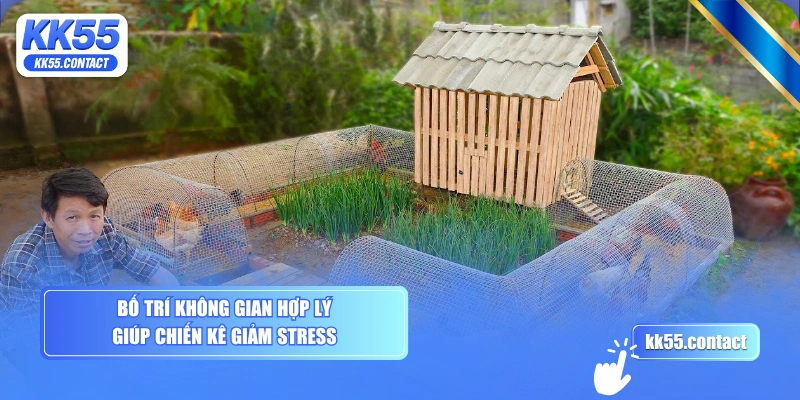 Bố trí không gian hợp lý giúp chiến kê giảm stress