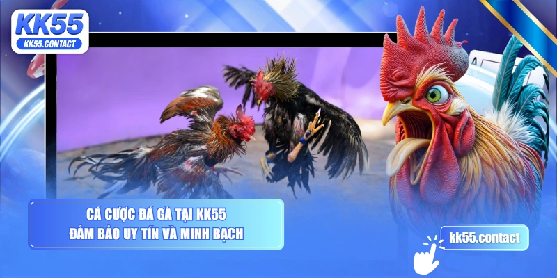 Cá cược đá gà tại KK55 đảm bảo uy tín và minh bạch