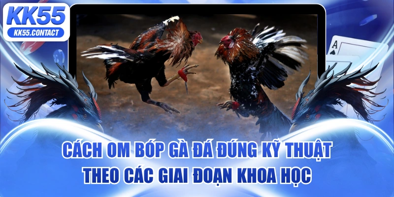 cách om bóp gà đá