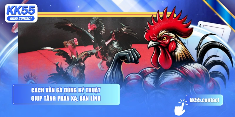Cách vần gà đúng kỹ thuật giúp tăng phản xạ, bản lĩnh