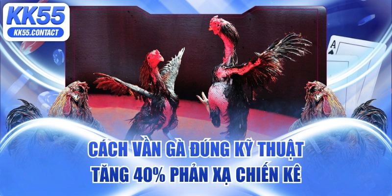 cách vần gà đúng kỹ thuật