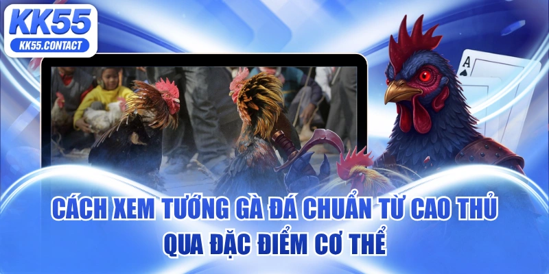 cách xem tướng gà đá