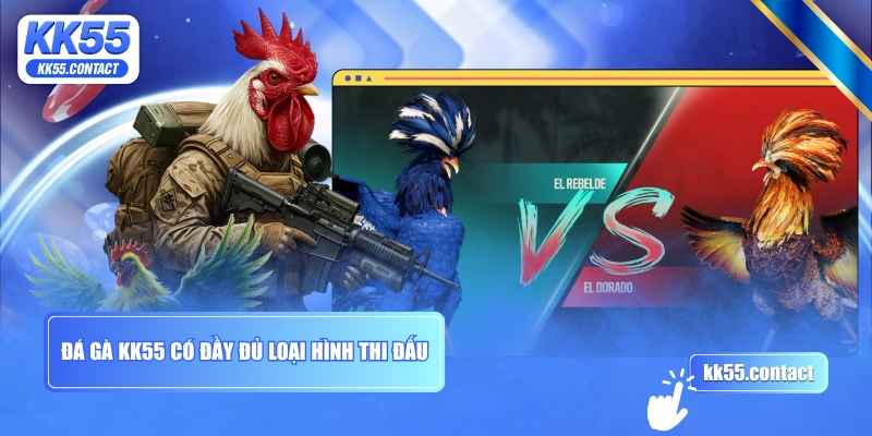 Đá gà KK55 có đầy đủ loại hình thi đấu