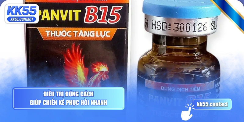 Điều trị đúng cách giúp chiến kê phục hồi nhanh 