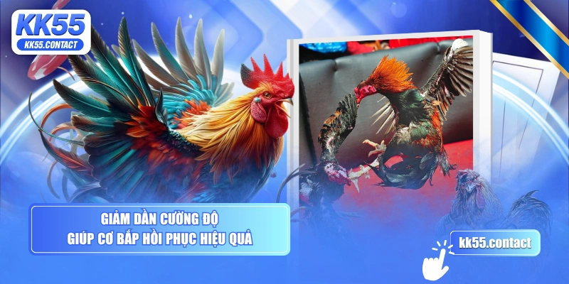 Giảm dần cường độ giúp cơ bắp hồi phục hiệu quả