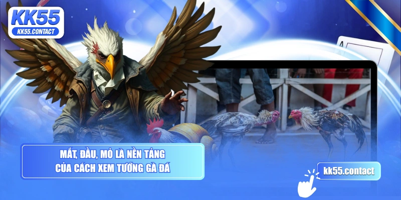 Mắt, đầu, mỏ là nền tảng của cách xem tướng gà đá