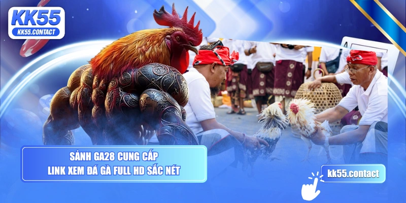 Sảnh GA28 cung cấp link xem đá gà full HD sắc nét