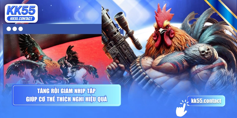 Tăng rồi giảm nhịp tập giúp cơ thể thích nghi hiệu quả