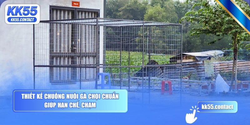 Thiết kế chuồng nuôi gà chọi chuẩn giúp hạn chế, chạm